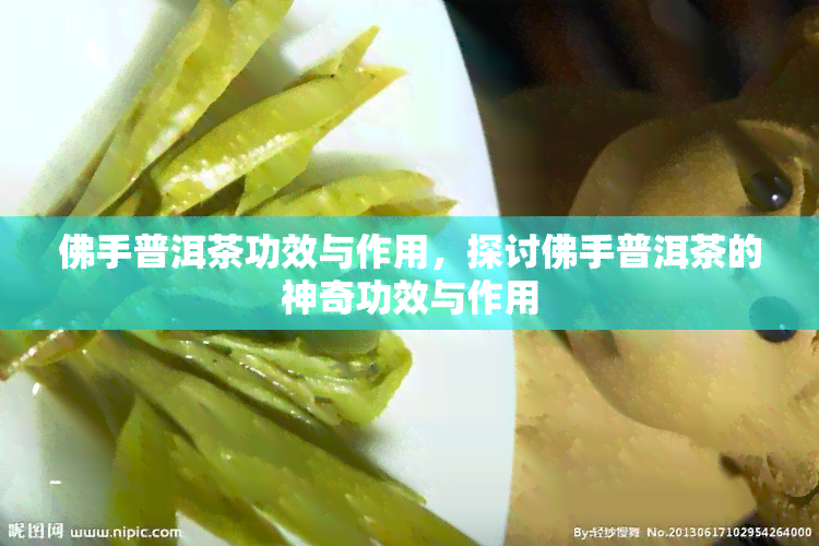 佛手普洱茶功效与作用，探讨佛手普洱茶的神奇功效与作用