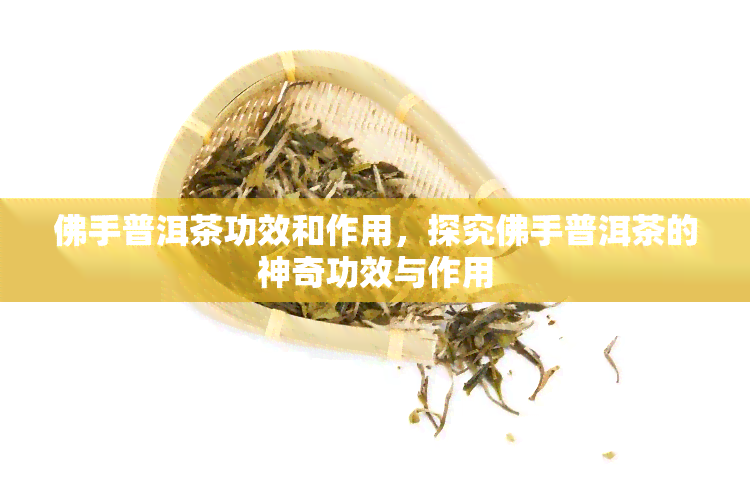 佛手普洱茶功效和作用，探究佛手普洱茶的神奇功效与作用