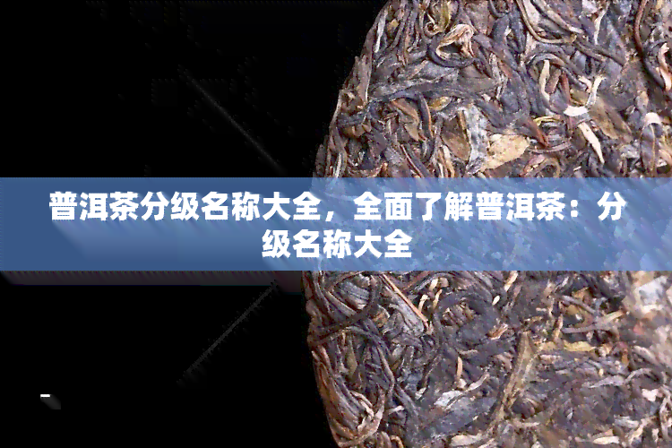 普洱茶分级名称大全，全面了解普洱茶：分级名称大全