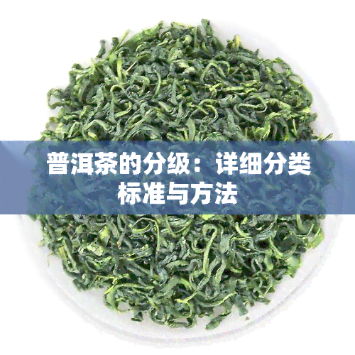 普洱茶的分级：详细分类标准与方法