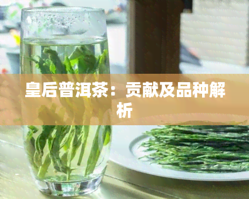 皇后普洱茶：贡献及品种解析