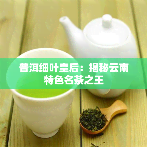 普洱细叶皇后：揭秘云南特色名茶之王