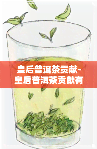 皇后普洱茶贡献-皇后普洱茶贡献有多大