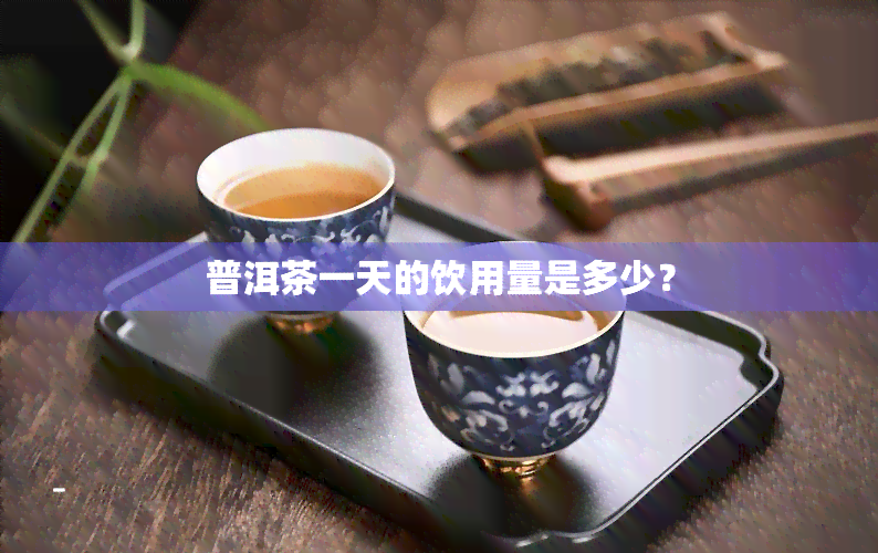 普洱茶一天的饮用量是多少？