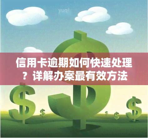 信用卡逾期如何快速处理？详解办案最有效方法