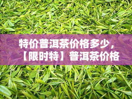 特价普洱茶价格多少，【限时特】普洱茶价格大揭秘，一口价等你来抢！