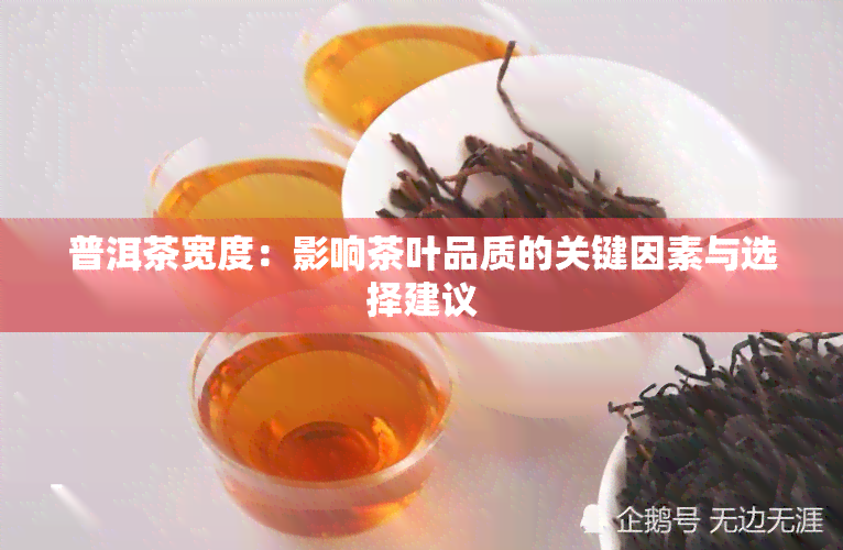 普洱茶宽度：影响茶叶品质的关键因素与选择建议