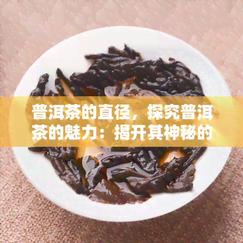 普洱茶的直径，探究普洱茶的魅力：揭开其神秘的直径面纱