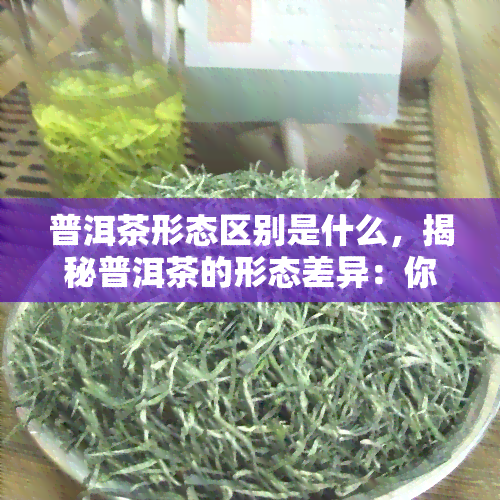 普洱茶形态区别是什么，揭秘普洱茶的形态差异：你了解多少？