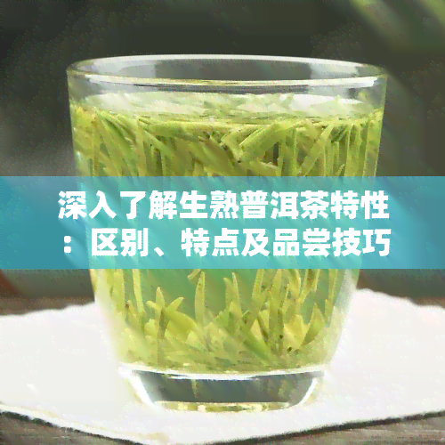 深入了解生熟普洱茶特性：区别、特点及品尝技巧