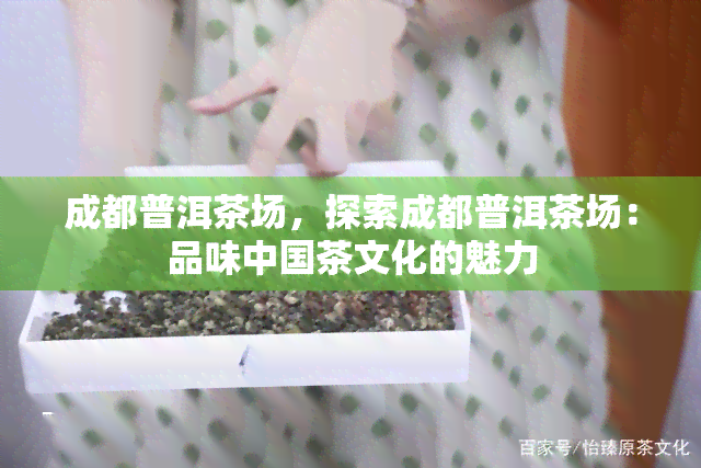 成都普洱茶场，探索成都普洱茶场：品味中国茶文化的魅力