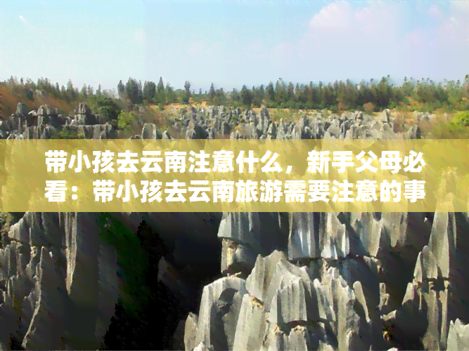 带小孩去云南注意什么，新手父母必看：带小孩去云南旅游需要注意的事项