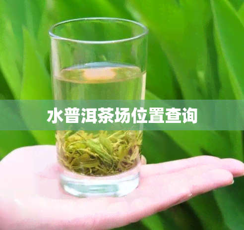 水普洱茶场位置查询