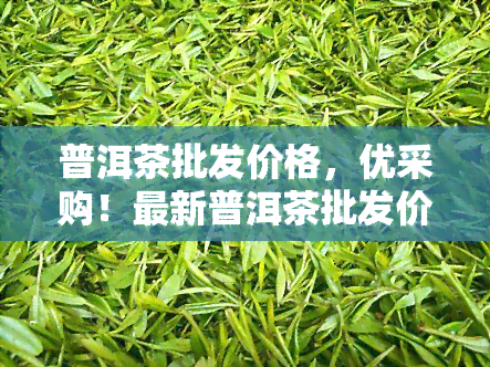 普洱茶批发价格，优采购！最新普洱茶批发价格一览