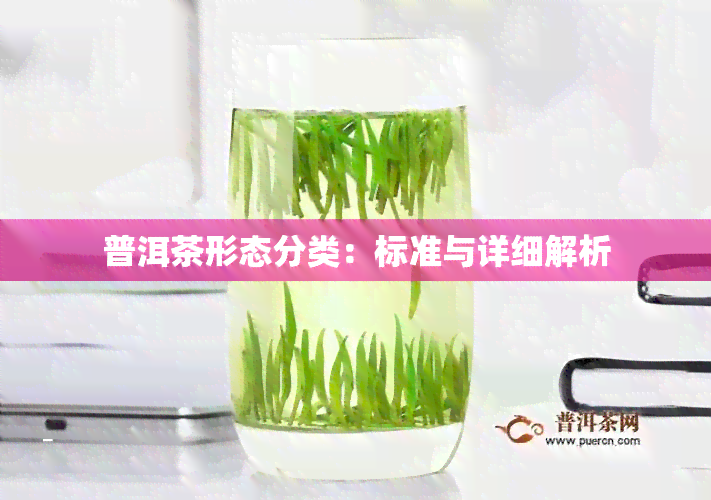 普洱茶形态分类：标准与详细解析