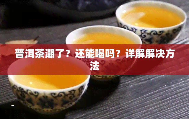 普洱茶潮了？还能喝吗？详解解决方法