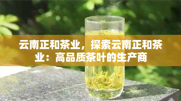 云南正和茶业，探索云南正和茶业：高品质茶叶的生产商