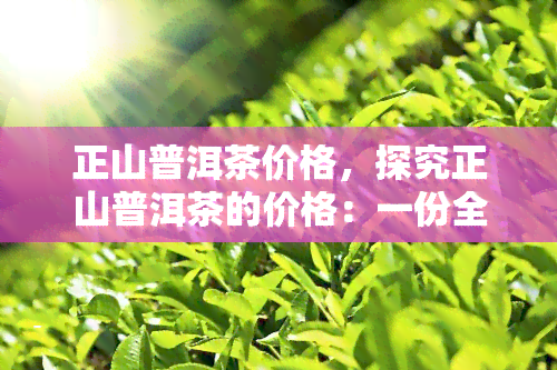 正山普洱茶价格，探究正山普洱茶的价格：一份全面的指南