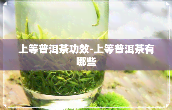 上等普洱茶功效-上等普洱茶有哪些