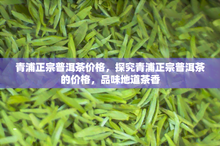 青浦正宗普洱茶价格，探究青浦正宗普洱茶的价格，品味地道茶香