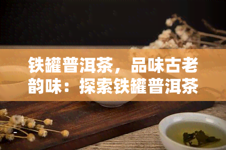 铁罐普洱茶，品味古老韵味：探索铁罐普洱茶的世界