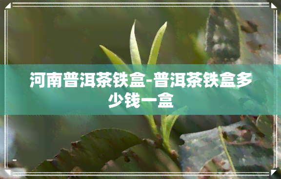 河南普洱茶铁盒-普洱茶铁盒多少钱一盒