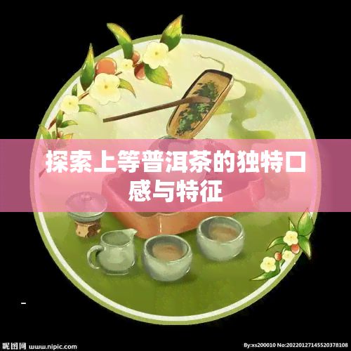 探索上等普洱茶的独特口感与特征