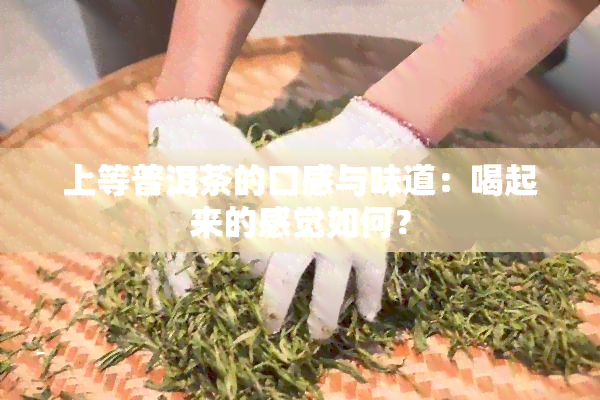 上等普洱茶的口感与味道：喝起来的感觉如何？