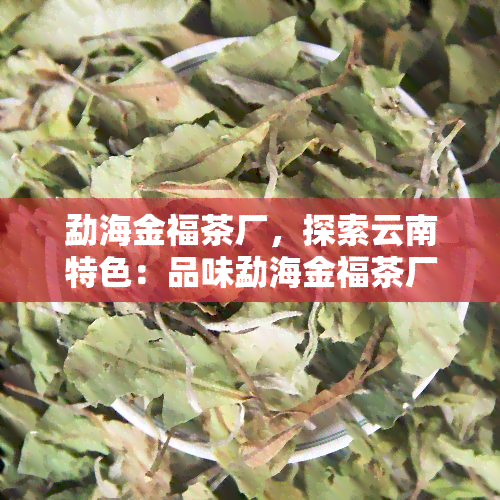 勐海金福茶厂，探索云南特色：品味勐海金福茶厂的优质普洱茶