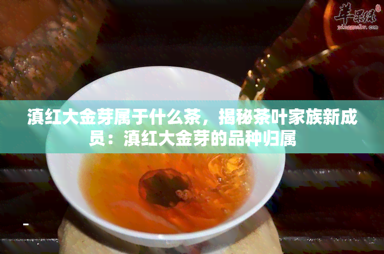 滇红大金芽属于什么茶，揭秘茶叶家族新成员：滇红大金芽的品种归属