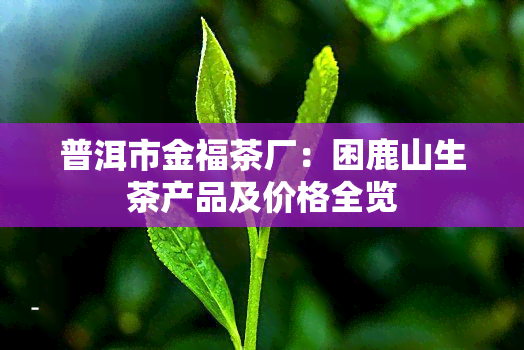 普洱市金福茶厂：困鹿山生茶产品及价格全览