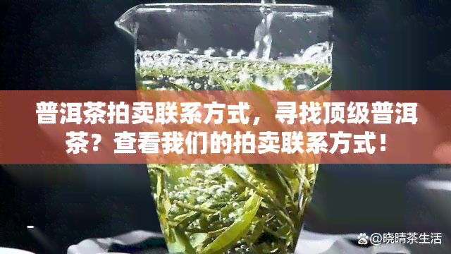 普洱茶拍卖联系方式，寻找顶级普洱茶？查看我们的拍卖联系方式！