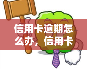 信用卡逾期怎么办，信用卡逾期了，该怎么办？这里有解决方案！