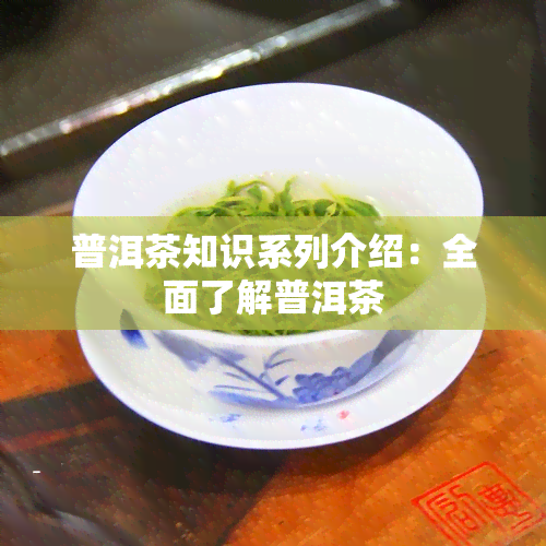 普洱茶知识系列介绍：全面了解普洱茶