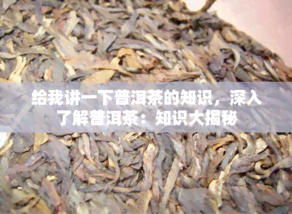 给我讲一下普洱茶的知识，深入了解普洱茶：知识大揭秘