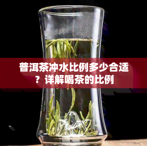 普洱茶冲水比例多少合适？详解喝茶的比例