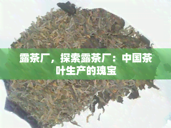 露茶厂，探索露茶厂：中国茶叶生产的瑰宝