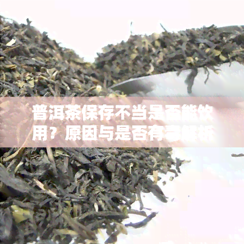 普洱茶保存不当是否能饮用？原因与是否有解析