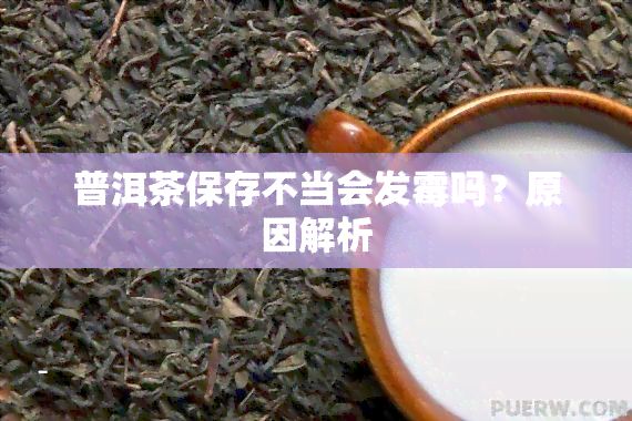 普洱茶保存不当会发霉吗？原因解析