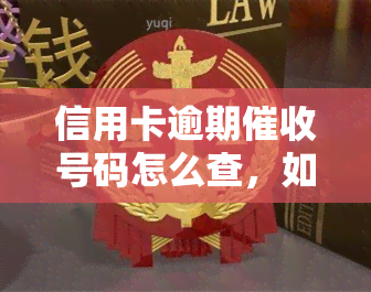 信用卡逾期号码怎么查，如何查询信用卡逾期号码？