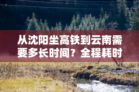 从沈阳坐高铁到云南需要多长时间？全程耗时解析