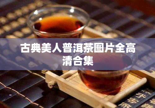 古典美人普洱茶图片全高清合集