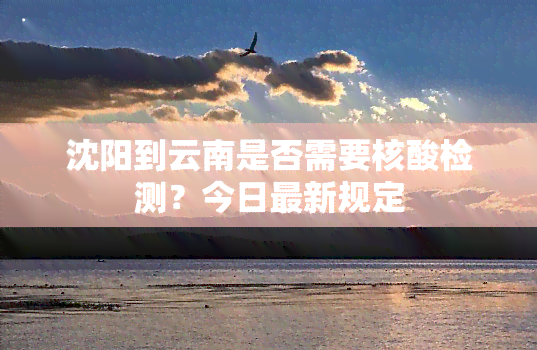 沈阳到云南是否需要核酸检测？今日最新规定