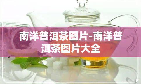 南洋普洱茶图片-南洋普洱茶图片大全