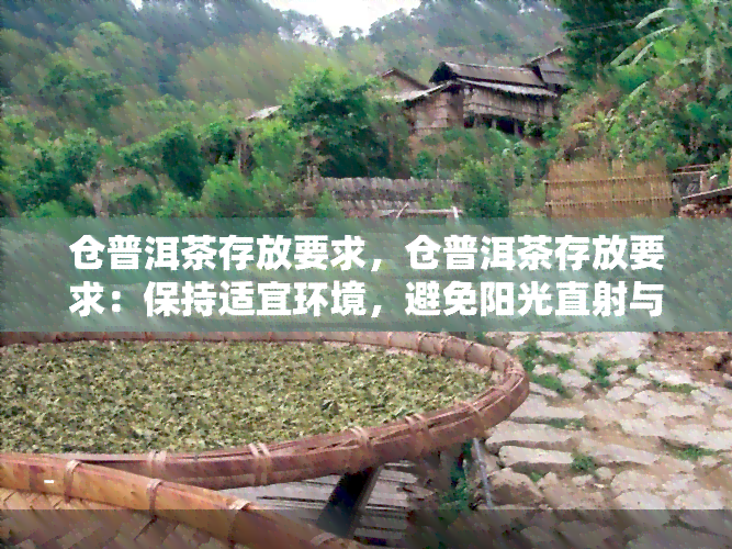 仓普洱茶存放要求，仓普洱茶存放要求：保持适宜环境，避免阳光直射与潮湿