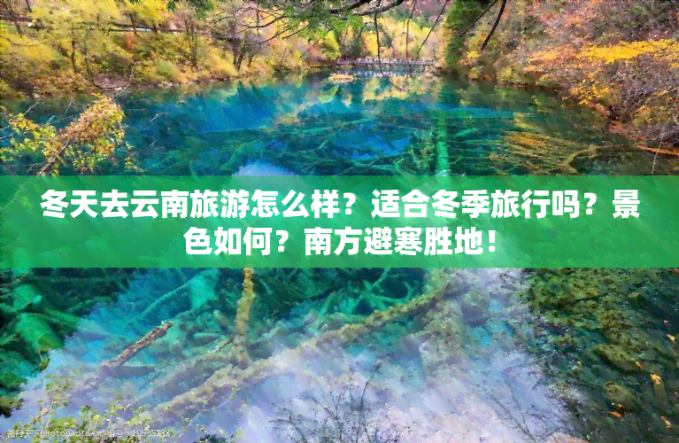 冬天去云南旅游怎么样？适合冬季旅行吗？景色如何？南方避寒胜地！