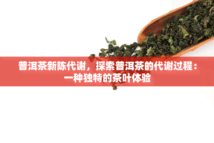 普洱茶新陈代谢，探索普洱茶的代谢过程：一种独特的茶叶体验