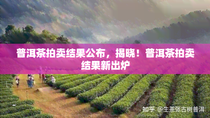 普洱茶拍卖结果公布，揭晓！普洱茶拍卖结果新出炉