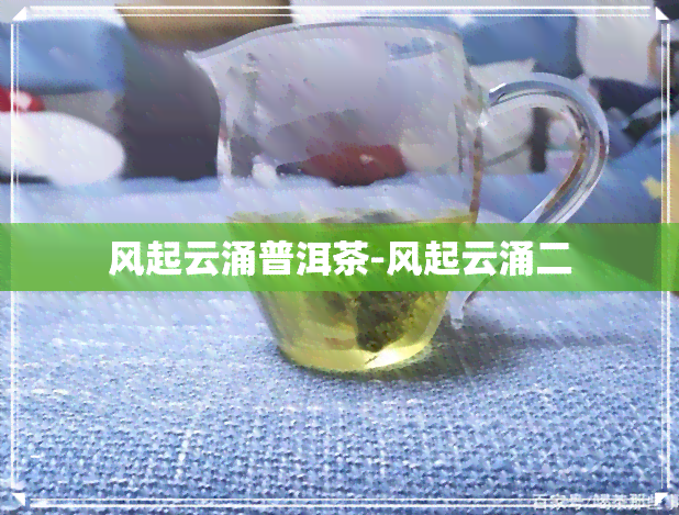 风起云涌普洱茶-风起云涌二