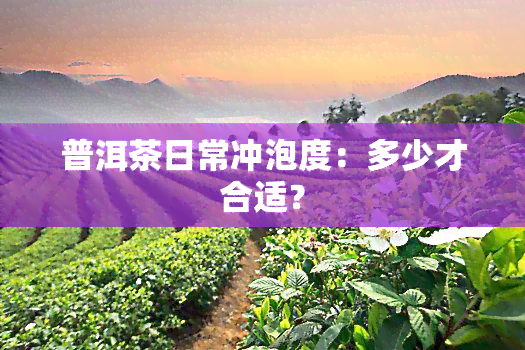 普洱茶日常冲泡度：多少才合适？